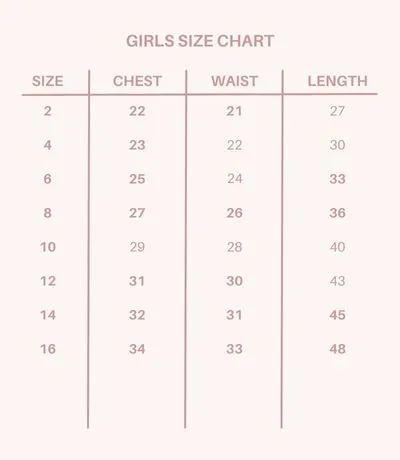 508 Embroidery Mesh Ruffle Sleeve Dress