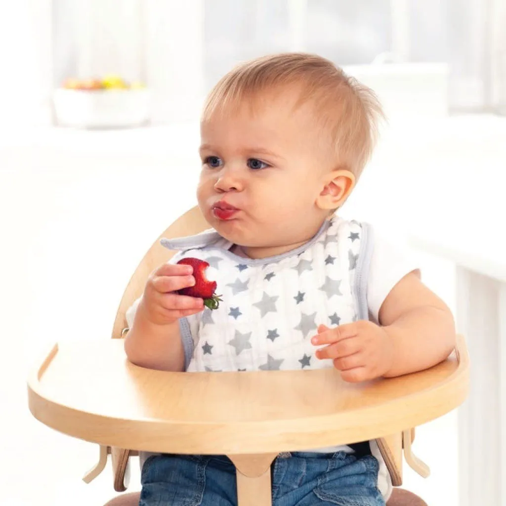 ADEN   ANAIS Cotton Muslin Snap Bibs Twinkle - 3 pack