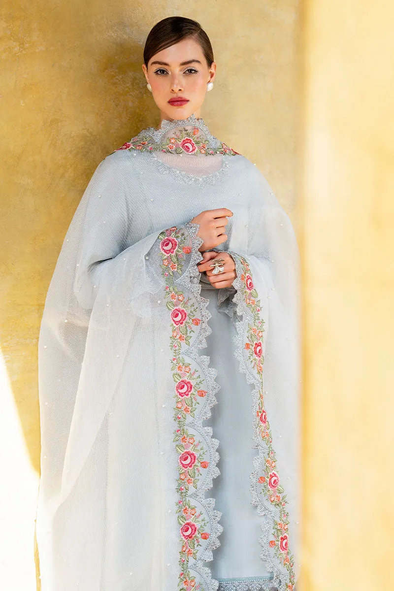 Aesthetic Light Blue Pakistani Salwar Kameez with Dupatta
