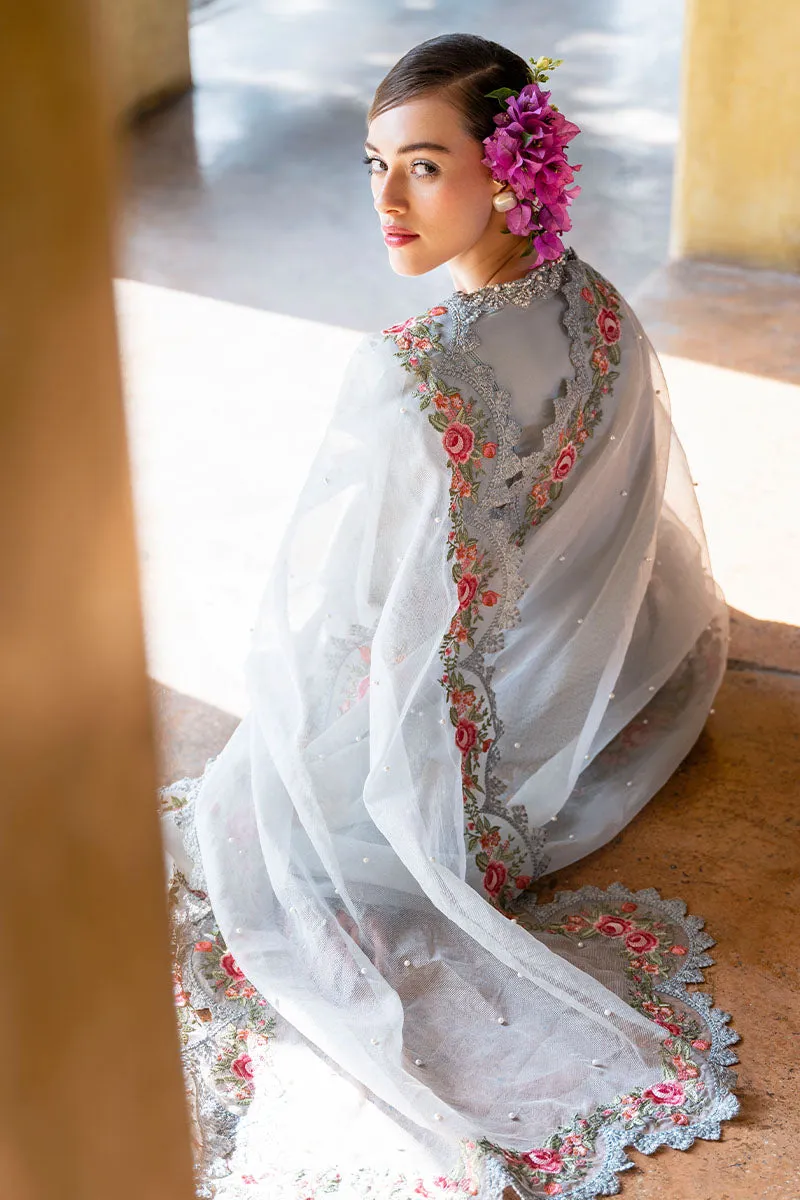 Aesthetic Light Blue Pakistani Salwar Kameez with Dupatta