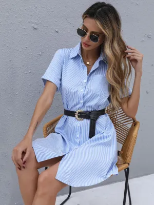 Aiyana Shirt Dress - Blue