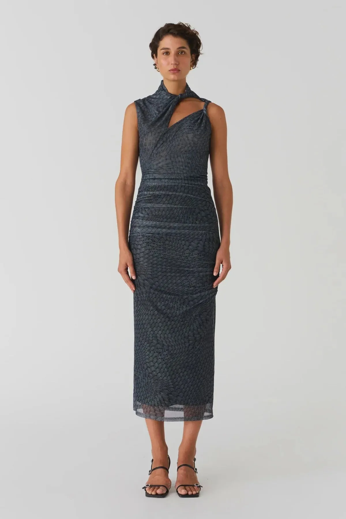 Efi Mesh Midi Dress