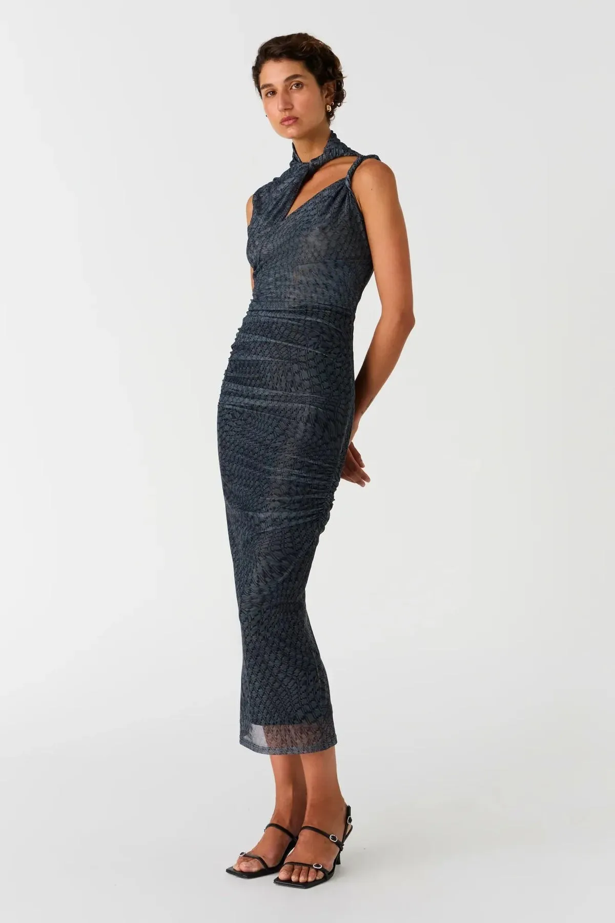 Efi Mesh Midi Dress