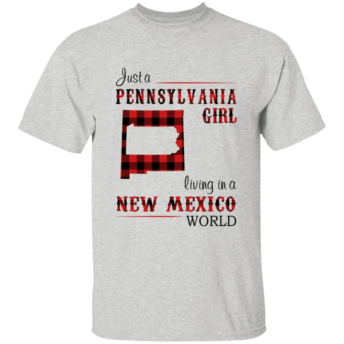 Just A Pennsylvania Girl Living In A New Mexico World T-shirt