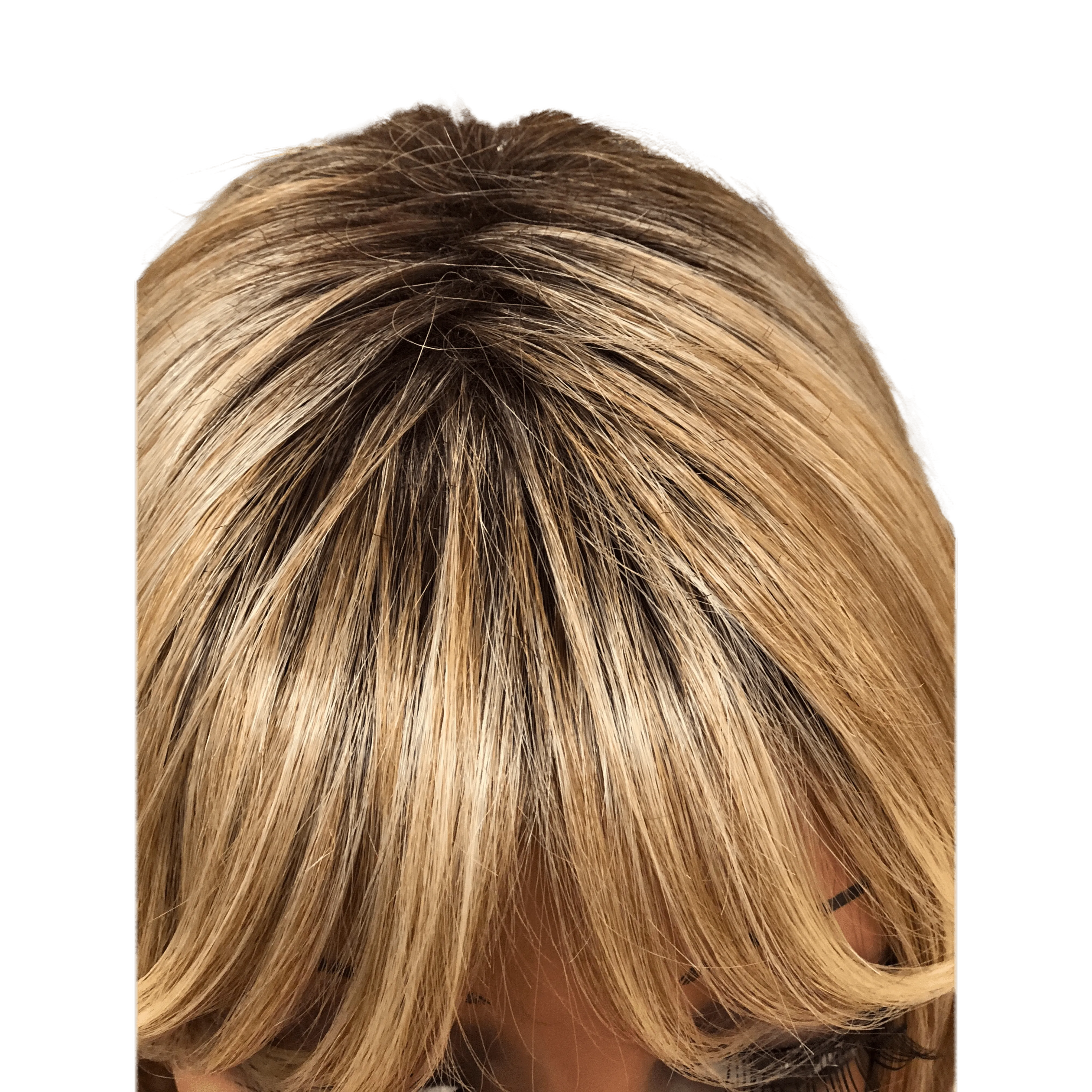 LONG WITH LAYERS WIG By Hairdo