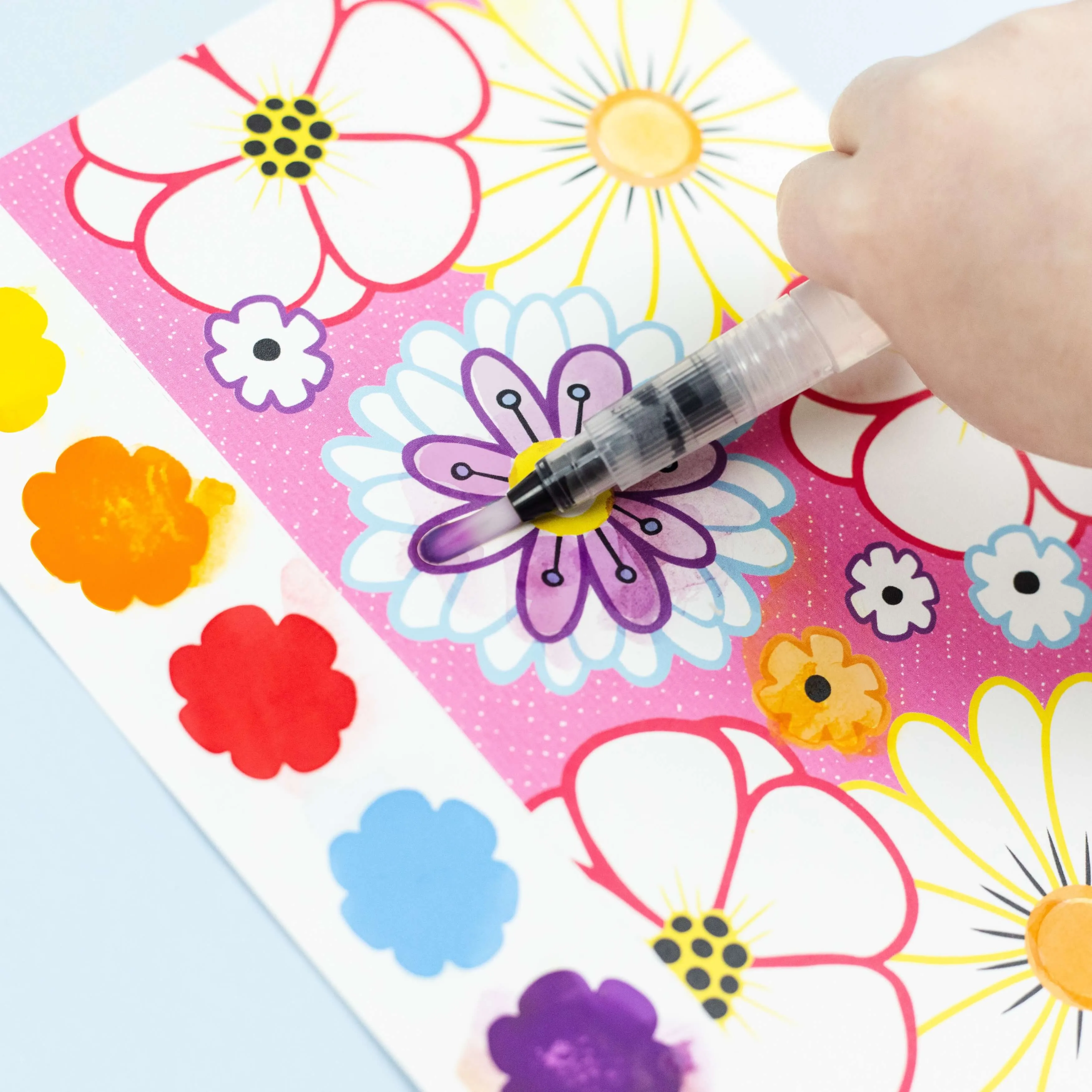 PAINT A PICTURE SET BUTTERFLIES & FLOWERS
