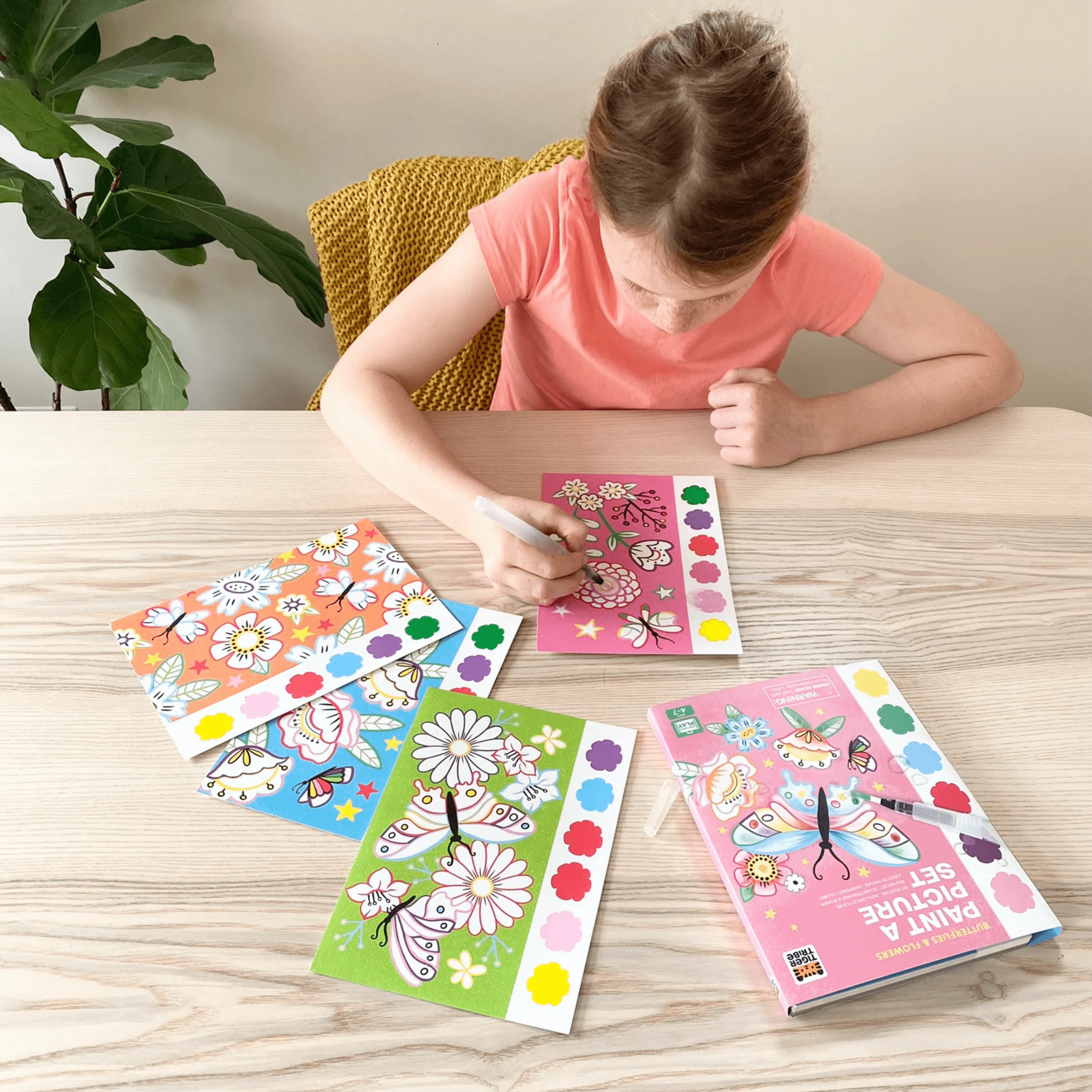 PAINT A PICTURE SET BUTTERFLIES & FLOWERS