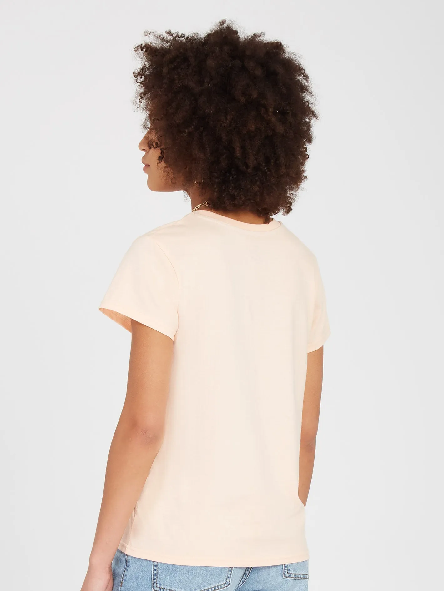 Stone Blanks T-shirt - MELON