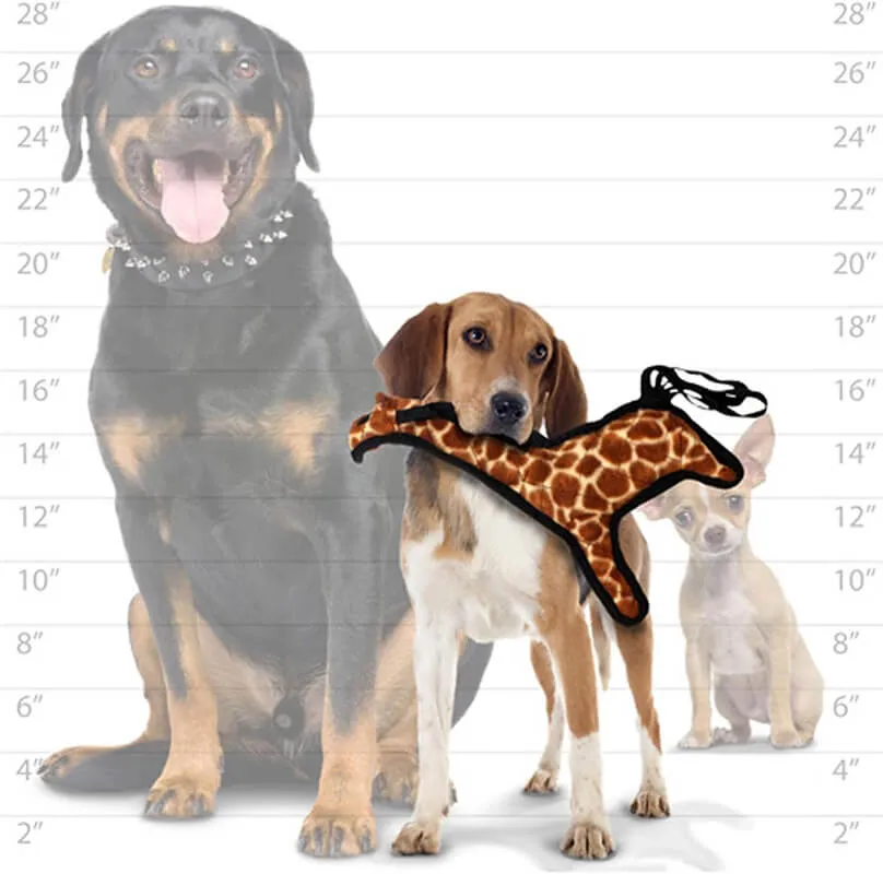 Tuffy Zoo Giraffe