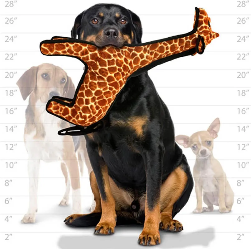 Tuffy Zoo Giraffe